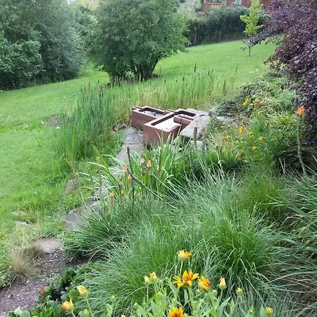 Le Du Hohwald- Piscine Interieure Chauffee - Proche Champ Du Feu *