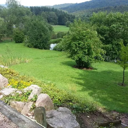 Le Du Hohwald- Piscine Interieure Chauffee - Proche Champ Du Feu * Le Hohwald