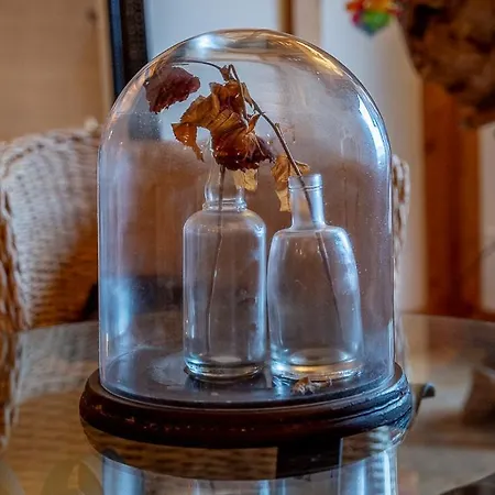 Σαλέ Le Du Hohwald- Piscine Interieure Chauffee - Proche Champ Du Feu Le Hohwald