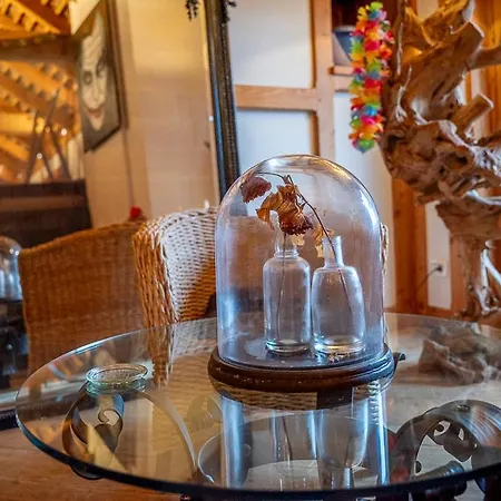 Le Du Hohwald- Piscine Interieure Chauffee - Proche Champ Du Feu * Le Hohwald